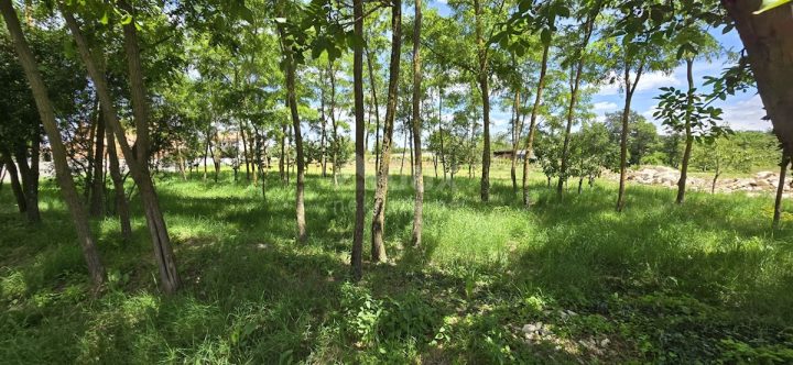 Działka na sprzedaż 1600 m² – Kanfanar