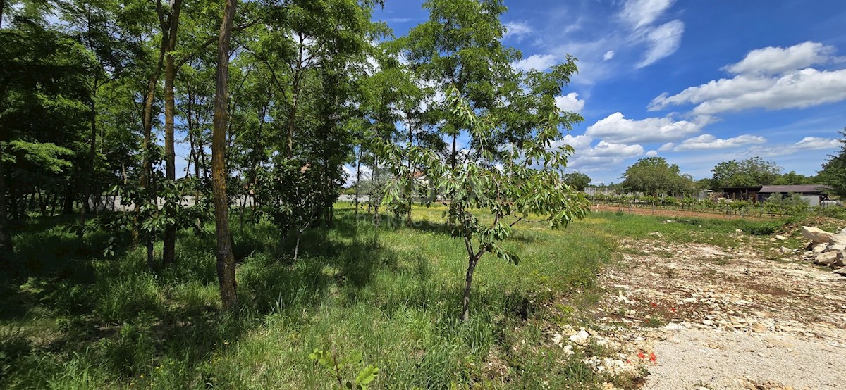 Terreno In vendita - ISTARSKA KANFANAR