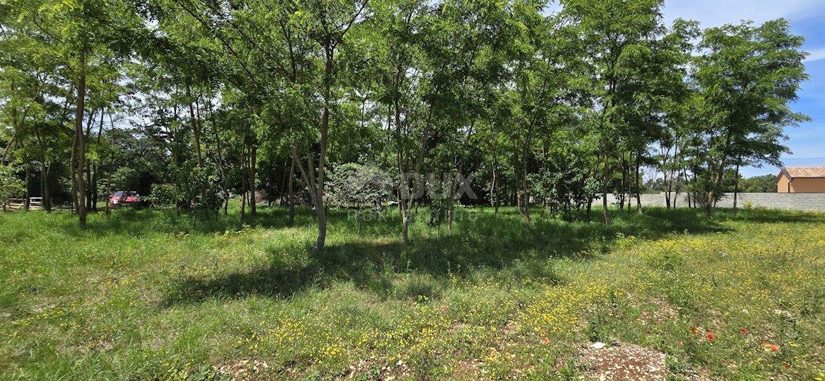 Terreno In vendita - ISTARSKA KANFANAR