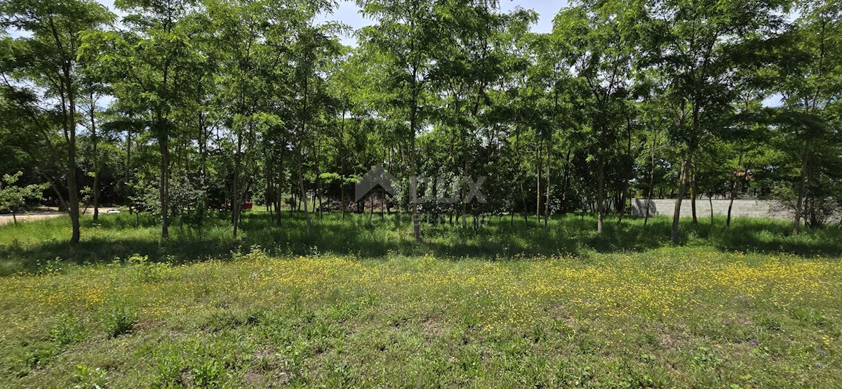 Terreno In vendita - Istarska Kanfanar - foto 4/14