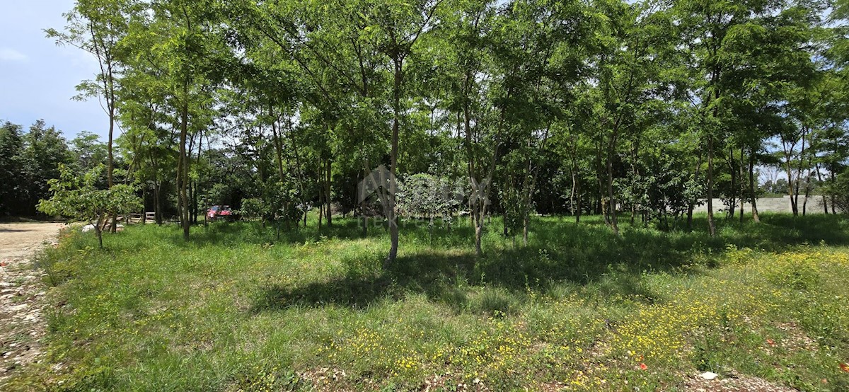 Terreno In vendita - Istarska Kanfanar - foto 5/14