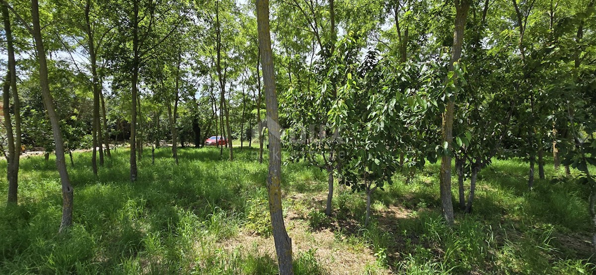 Terreno In vendita - ISTARSKA KANFANAR