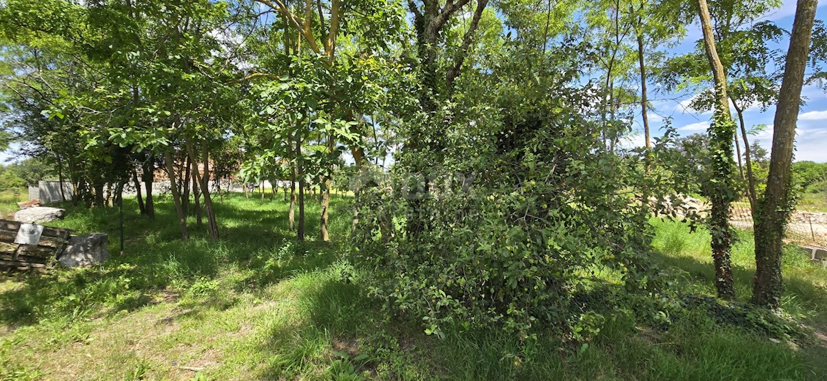 Terreno In vendita - ISTARSKA KANFANAR