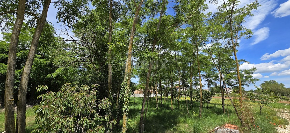 Terreno In vendita - ISTARSKA KANFANAR