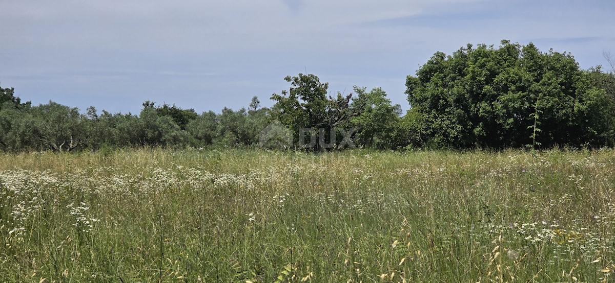 Parcela Na predaj - ISTARSKA SVETVINČENAT