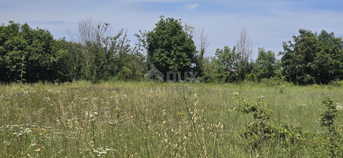 Parcela Na predaj - ISTARSKA SVETVINČENAT