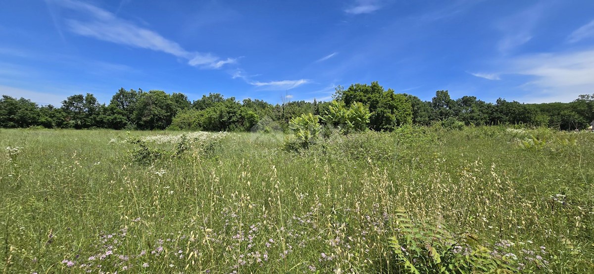 Terrain À vendre - ISTARSKA Svetvinčenat