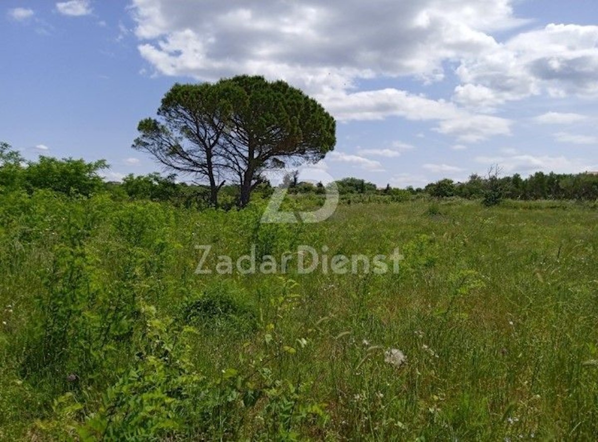 Land For sale - ZADARSKA VRSI