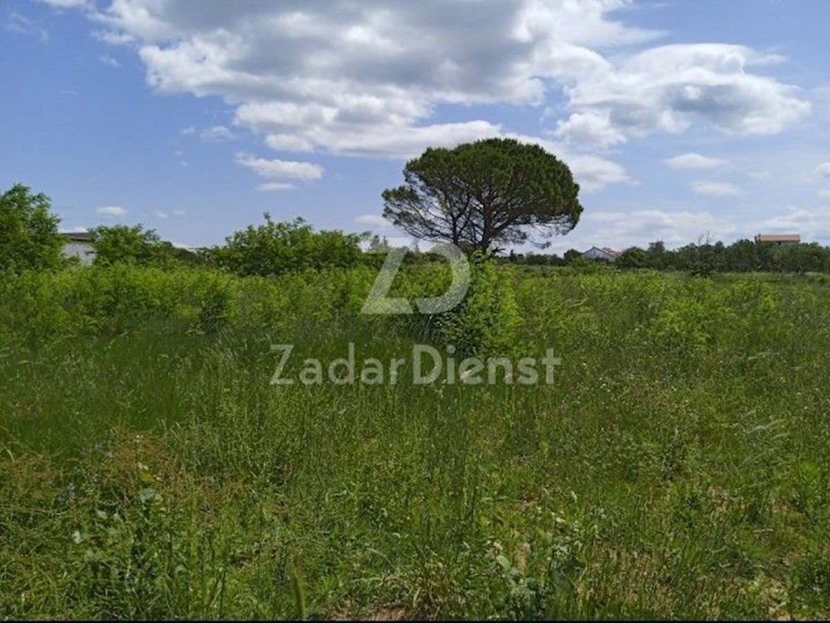 Land For sale - ZADARSKA VRSI