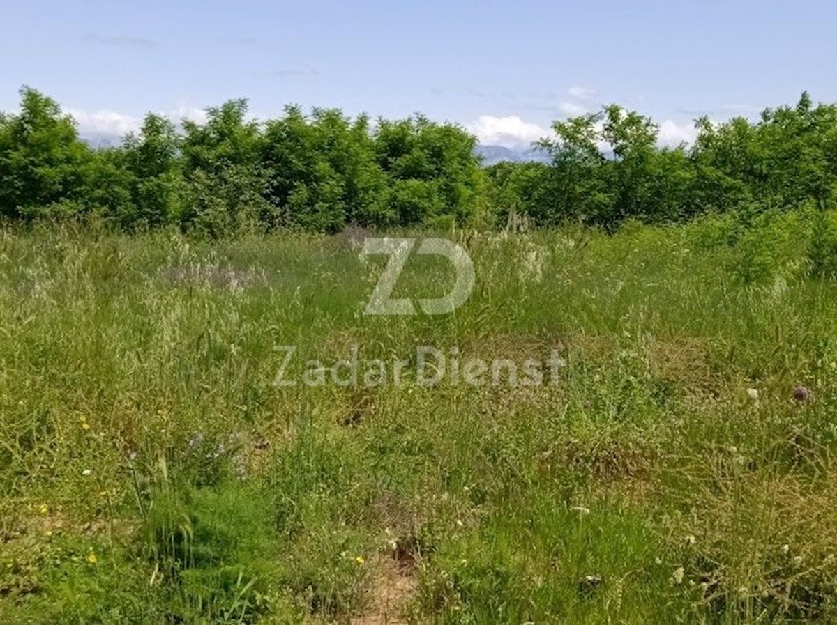 Land For sale - ZADARSKA VRSI