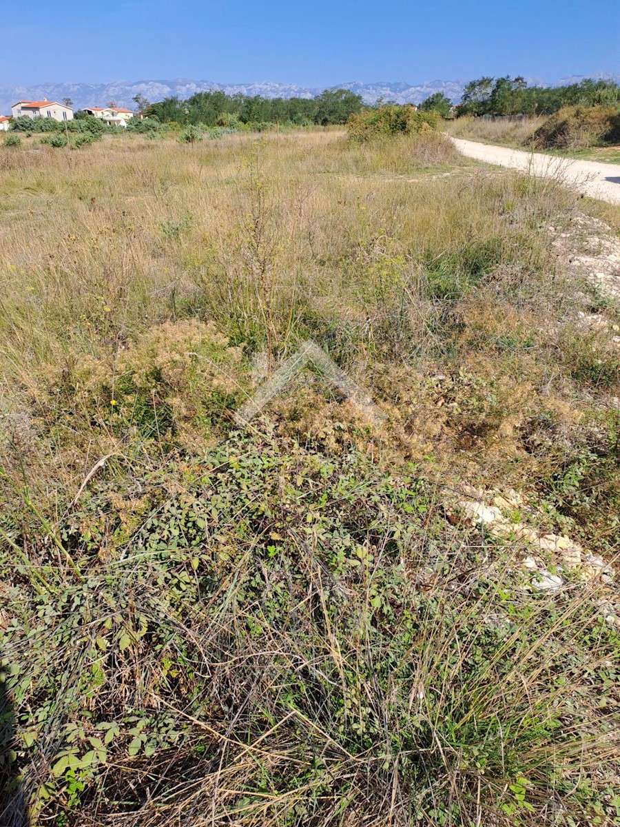 Land For sale - ZADARSKA VRSI