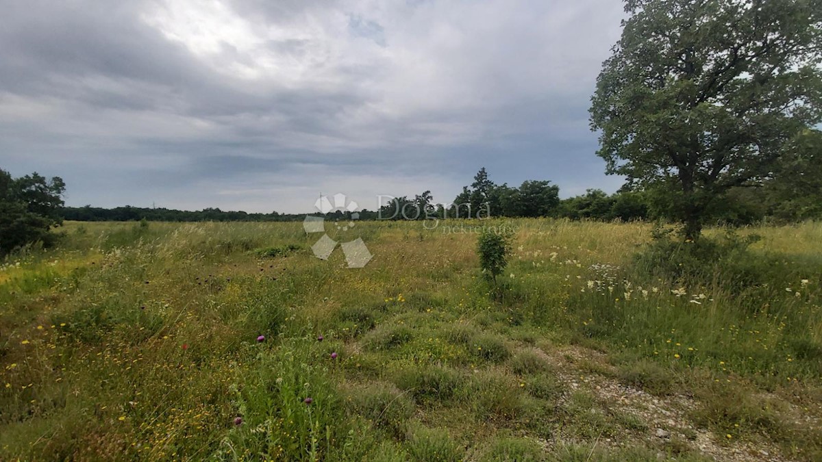 Parcela Na predaj - Istarska Vodnjan - foto 5/14