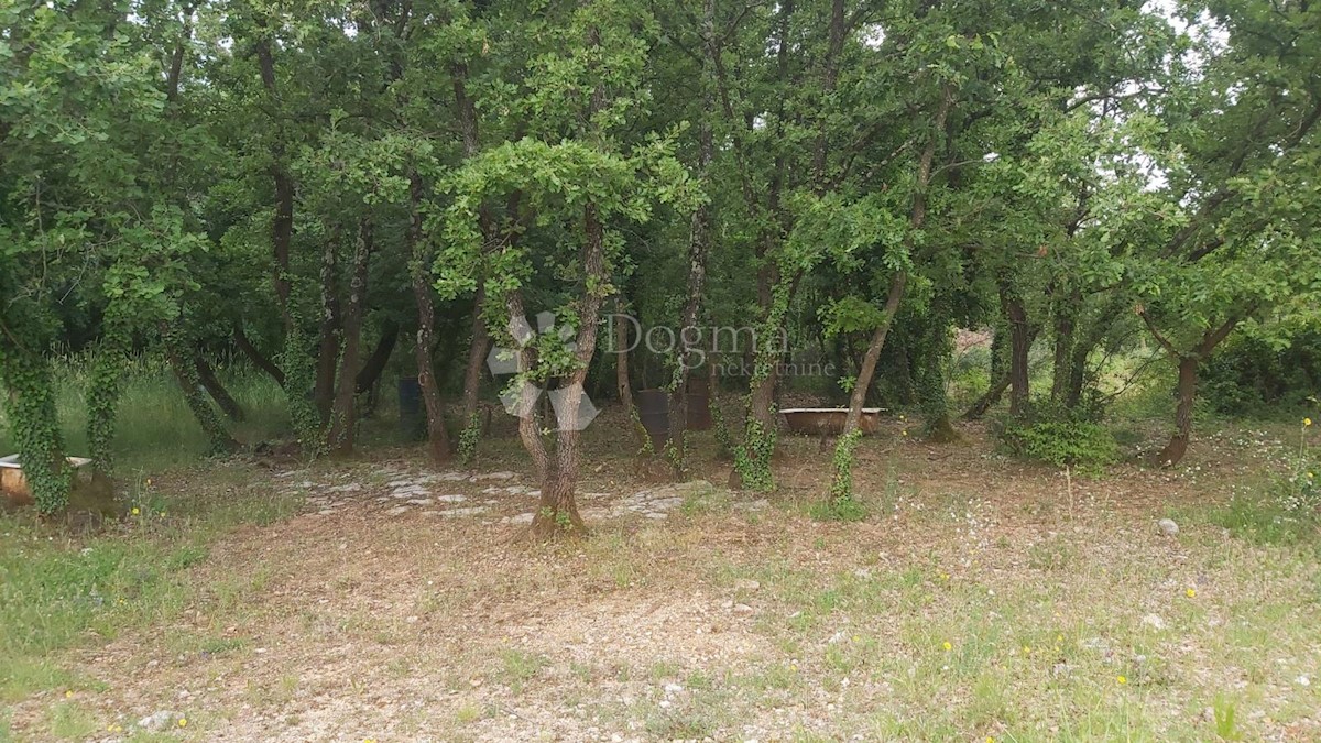 Parcela Na predaj - ISTARSKA VODNJAN