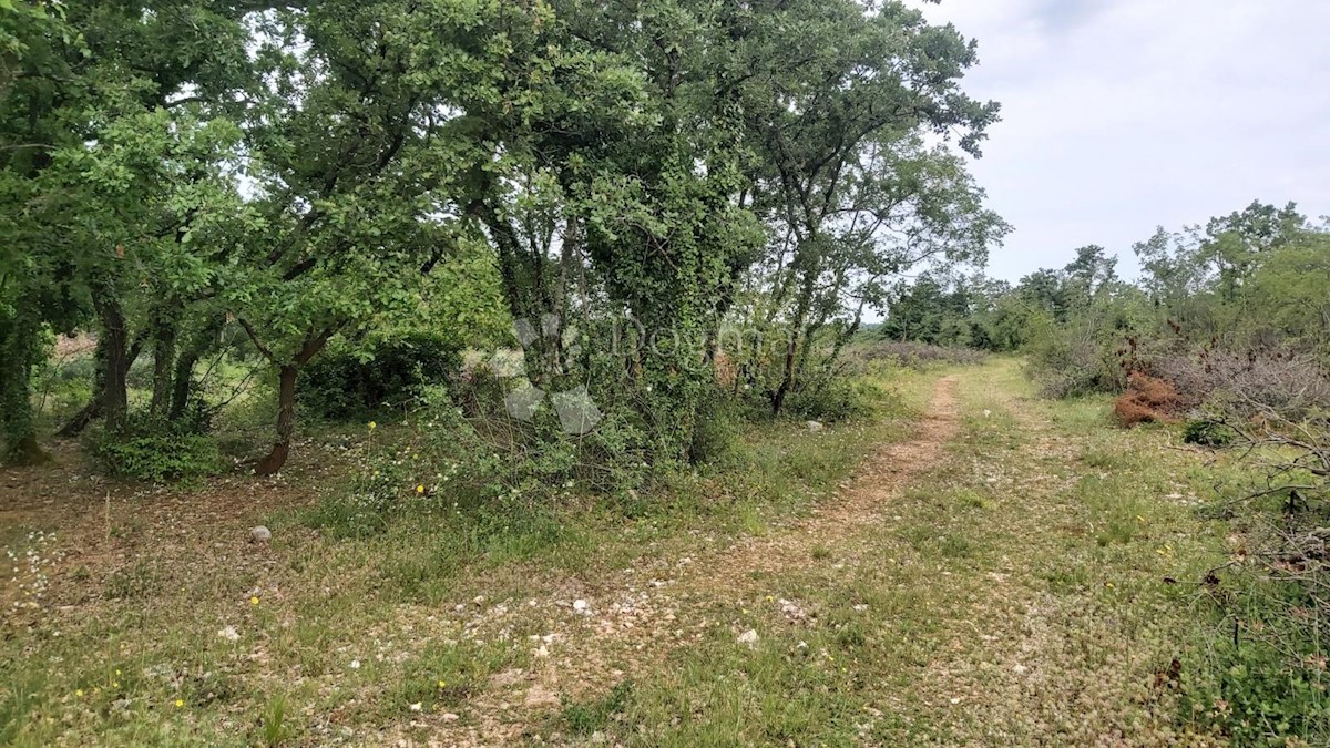 Parcela Na predaj - ISTARSKA VODNJAN