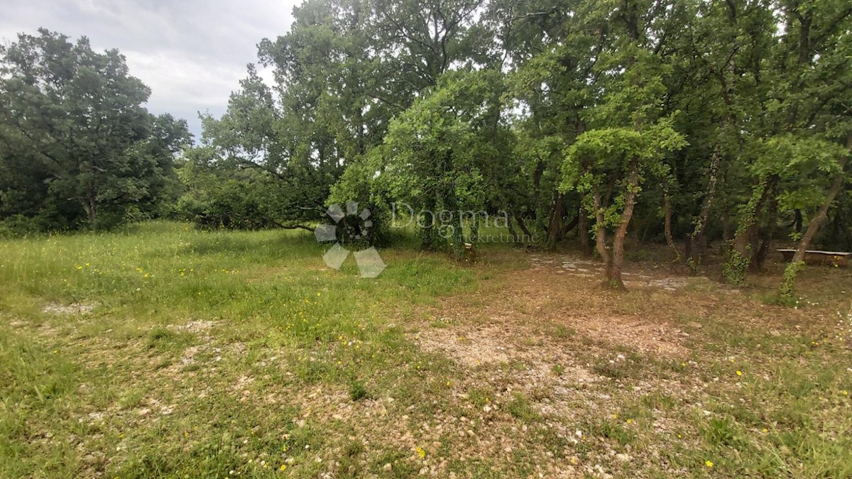 Parcela Na predaj - ISTARSKA VODNJAN