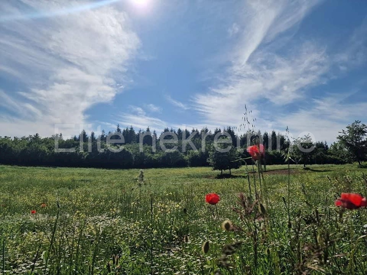 Działka Na sprzedaż MARKOVIĆI