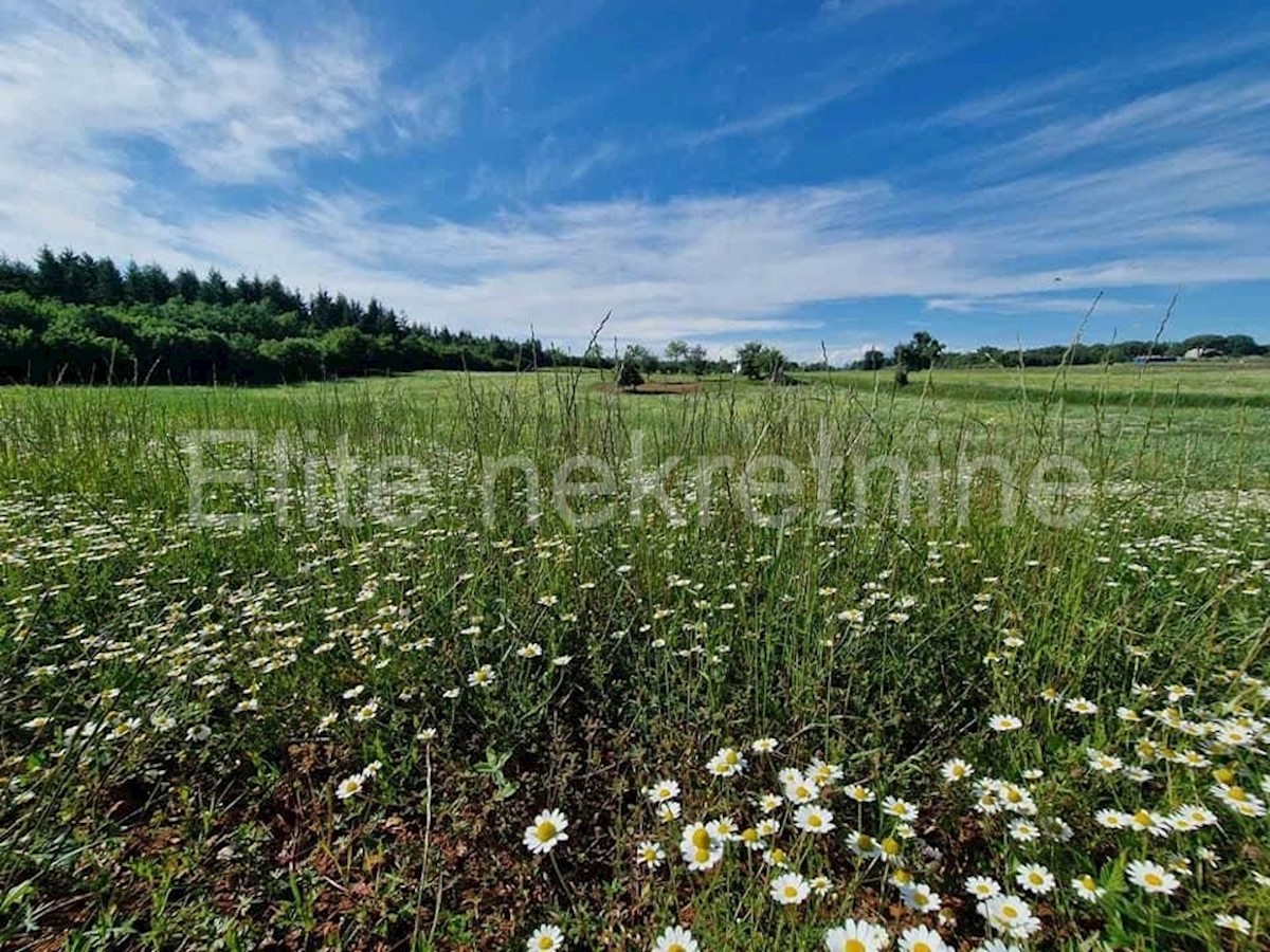 Terrain À vendre - ISTARSKA VIŽINADA