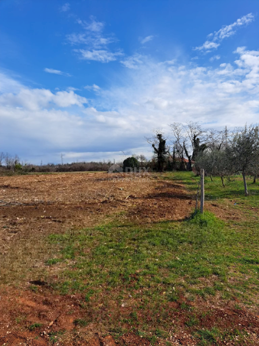 Zemljište Na prodaju - ISTARSKA UMAG