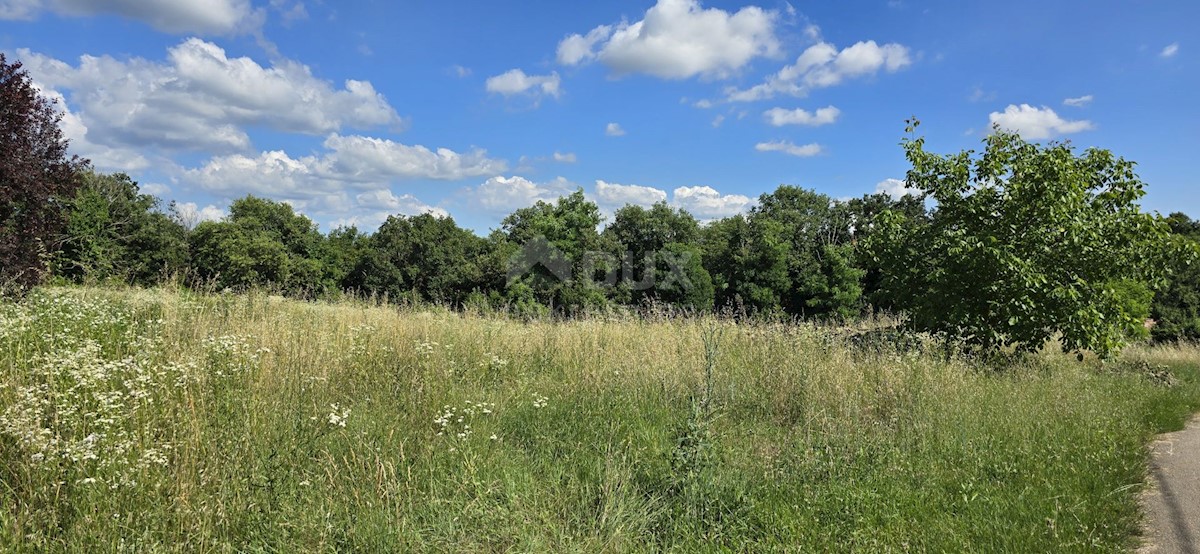 Terrain À vendre - ISTARSKA TINJAN