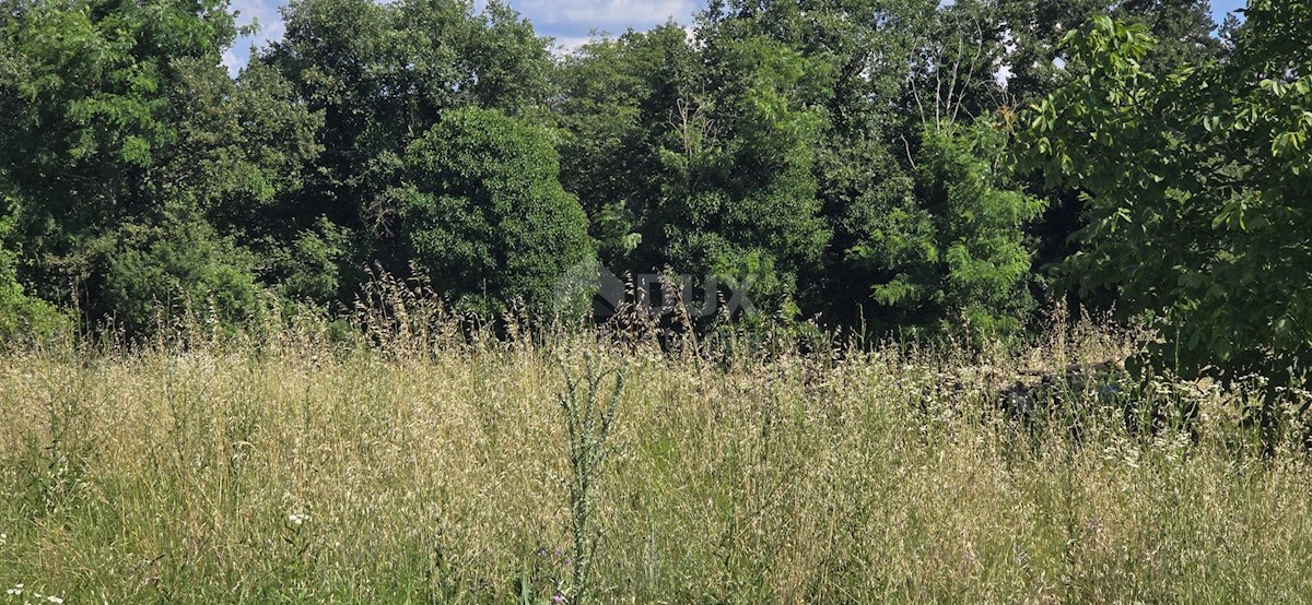 Działka Na sprzedaż - ISTARSKA Tinjan