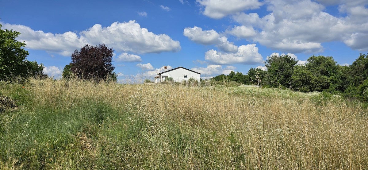 Terrain À vendre - Istarska Tinjan - foto 4/11