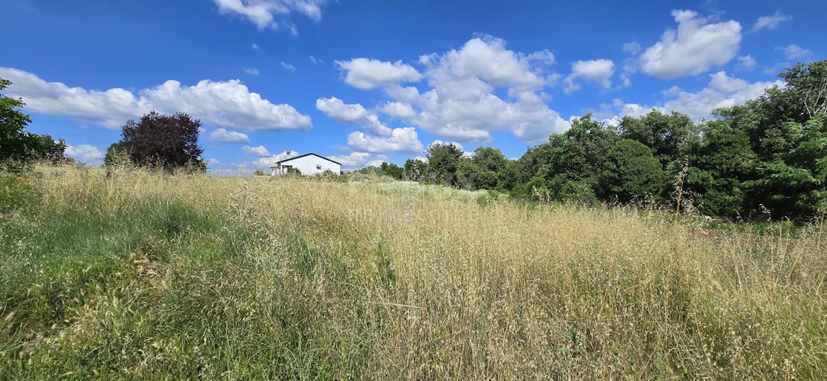 Terrain À vendre - Istarska Tinjan - foto 5/11