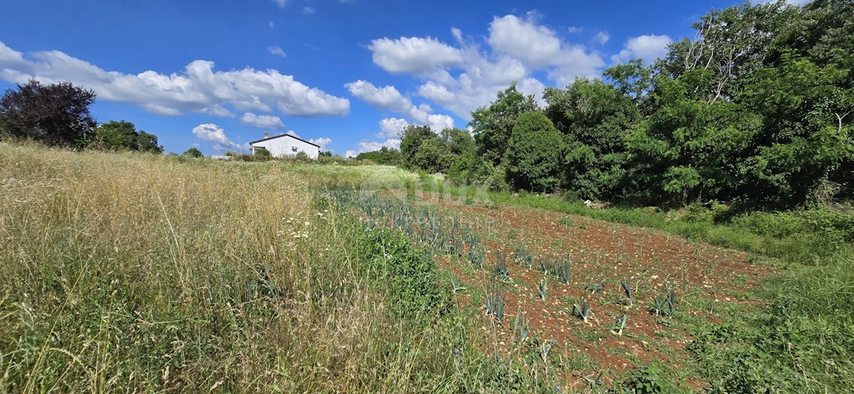 Terrain À vendre - ISTARSKA TINJAN
