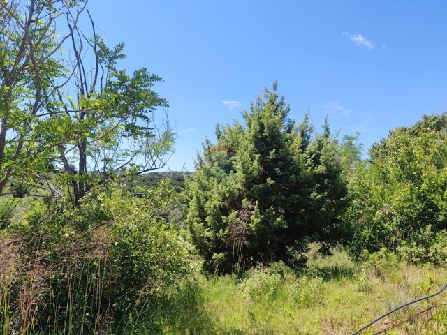 Terreno in vendita 716 m² – Lopar