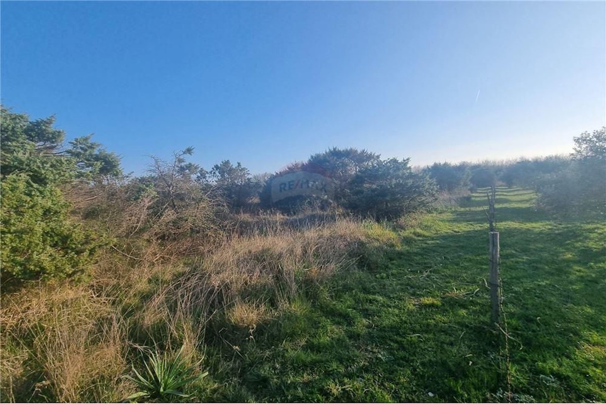 Land For sale - Zadarska Vrsi - foto 4/7