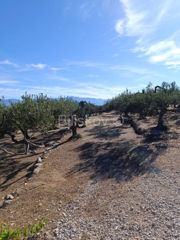 Terreno in vendita 9100 m² – Supetar