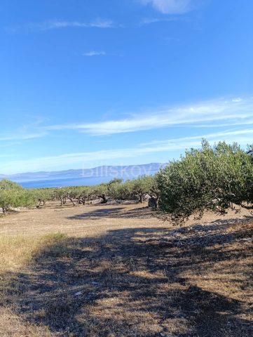Land For sale - Splitsko-dalmatinska Brač - foto 4/7