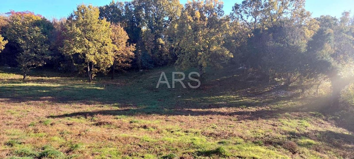 Terreno In vendita - ISTARSKA BARBAN