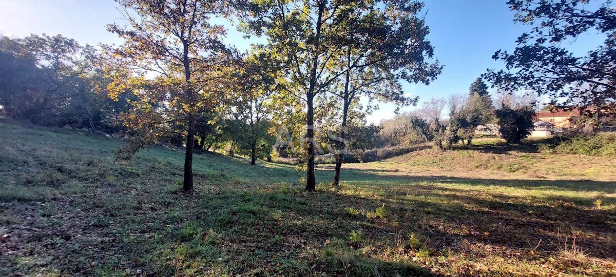 Terreno In vendita - ISTARSKA BARBAN