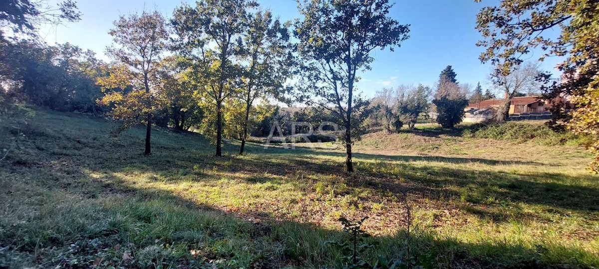 Terreno In vendita - ISTARSKA BARBAN