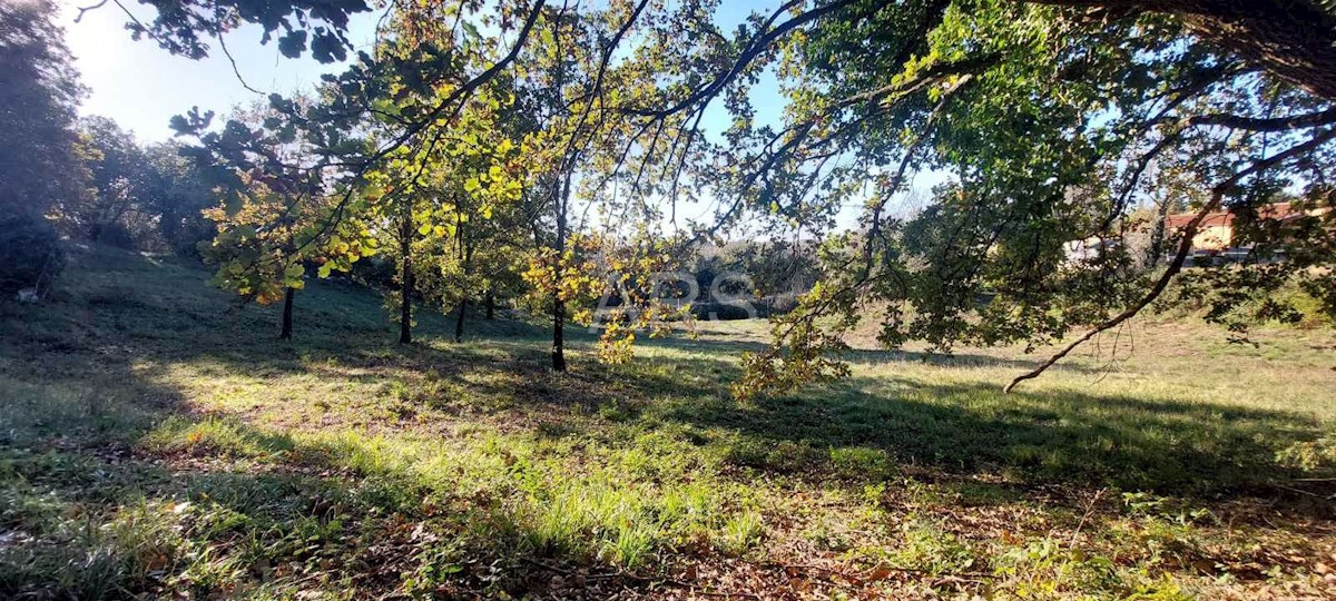 Zemljište Na prodaju - ISTARSKA BARBAN