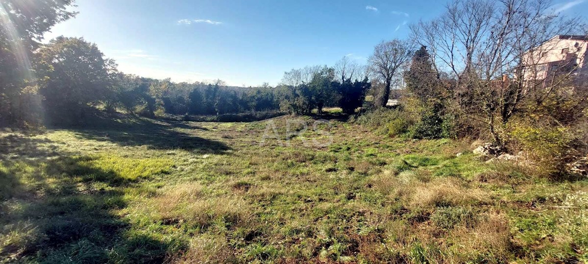 Terreno In vendita - ISTARSKA BARBAN