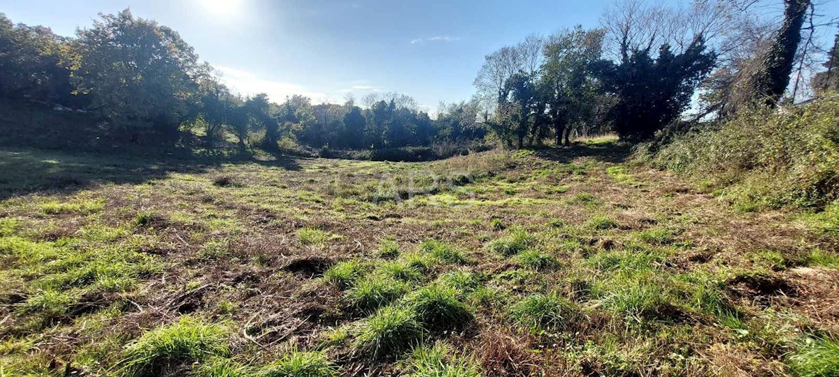 Terreno In vendita - ISTARSKA BARBAN