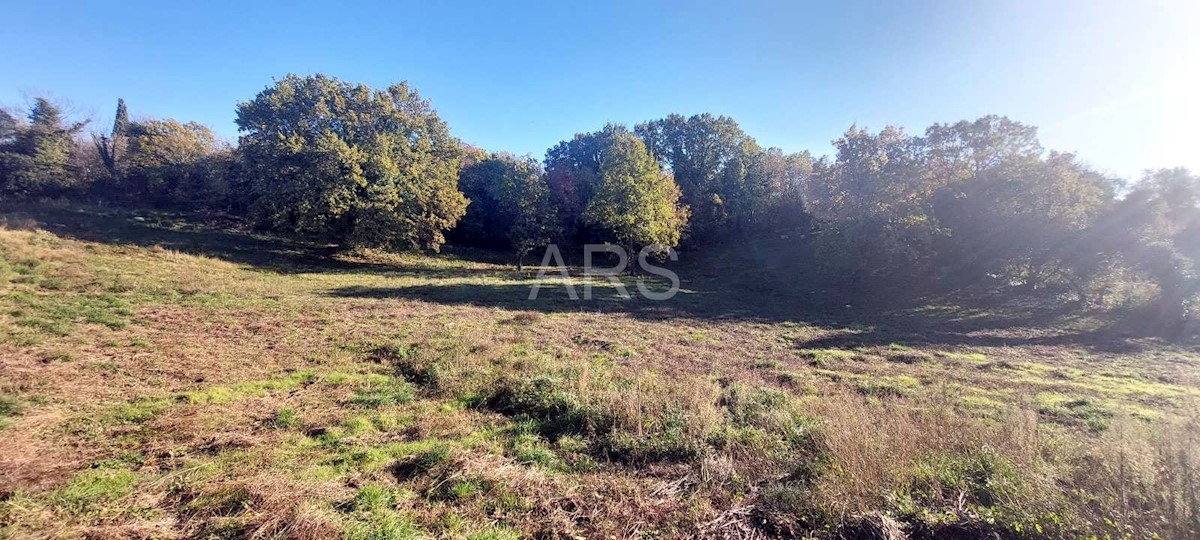 Terreno In vendita - ISTARSKA BARBAN