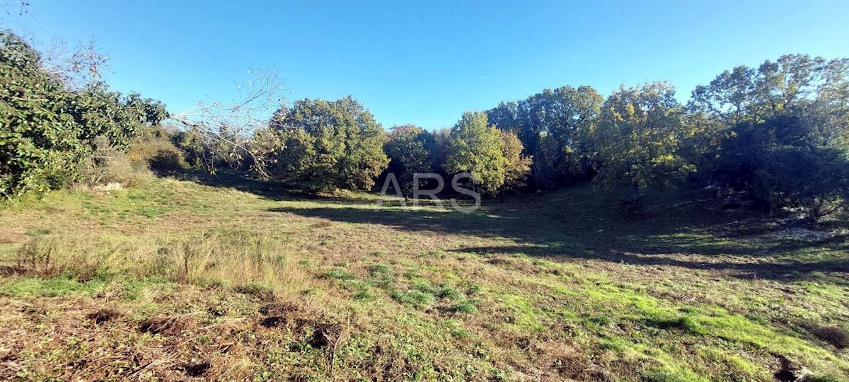 Terreno In vendita - ISTARSKA BARBAN