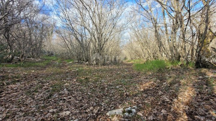 Land for sale 3800 m² – Garica