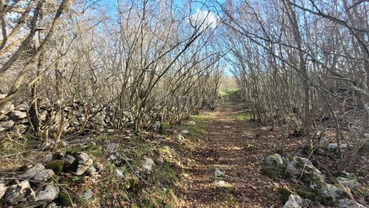 Land For sale - Primorsko-goranska Krk - foto 2/2