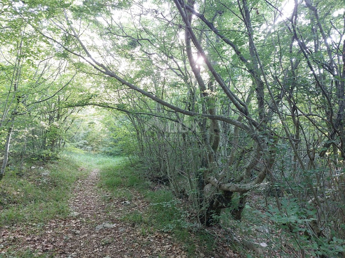 Land For sale - ISTARSKA LABIN