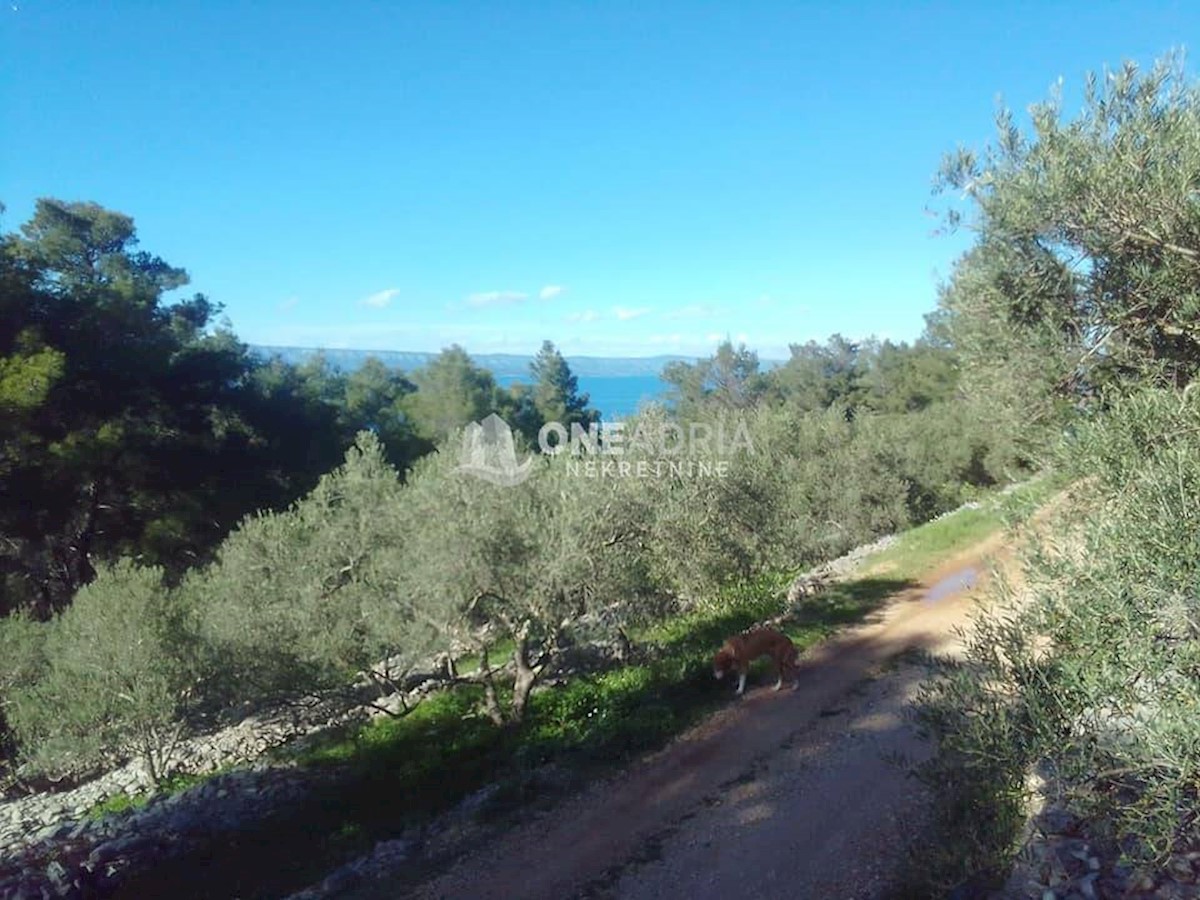 Parcela Naprodaj - DUBROVAČKO-NERETVANSKA Korčula