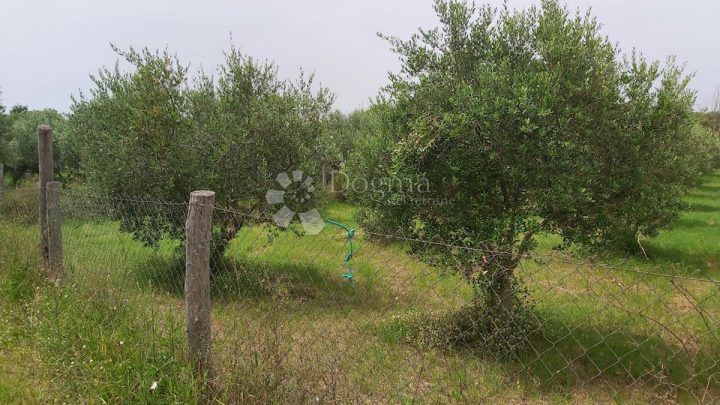Działka na sprzedaż 18770 m² – Kanfanar