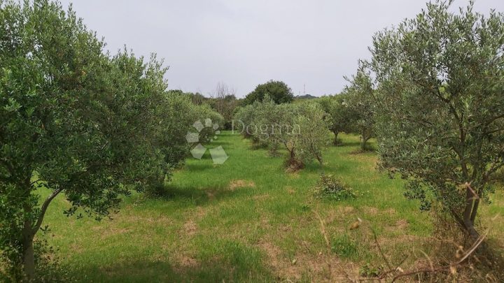 Parcela Naprodaj - Istarska Kanfanar - foto 4/7