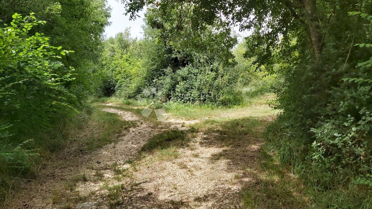 Parcela Naprodaj - ISTARSKA Kanfanar