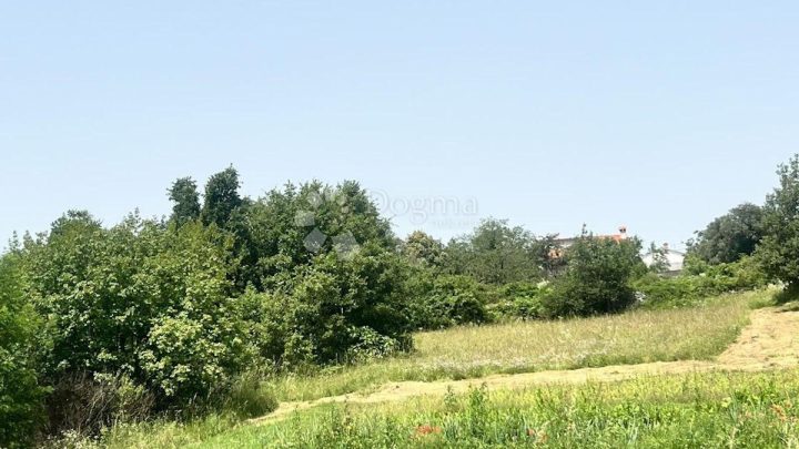 Parcela Na predaj - Istarska Tinjan - foto 3/3
