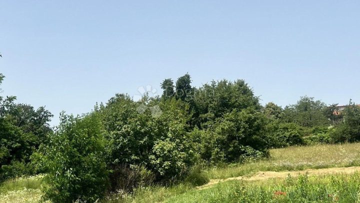 Działka Na sprzedaż - Istarska Tinjan - foto 4/4
