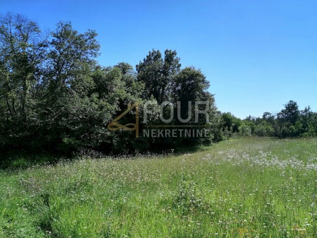 Grundstück zu verkaufen 8067 m² – Sveti Lovreč Pazenatički