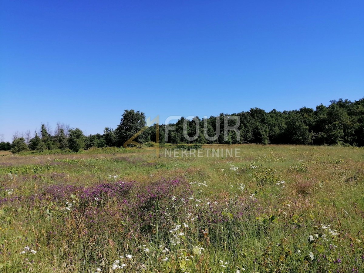 Land For sale - ISTARSKA SVETI LOVREČ